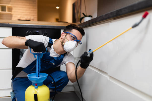 Best Ant Control Services  in Fletcher, OK