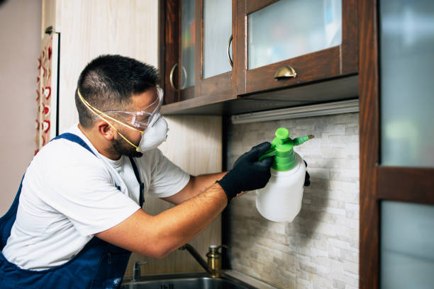 Best Emergency Pest Control  in Fletcher, OK