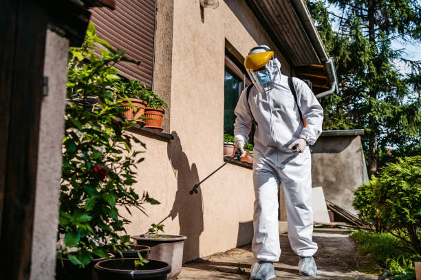 Best Wasp Removal Services  in Fletcher, OK