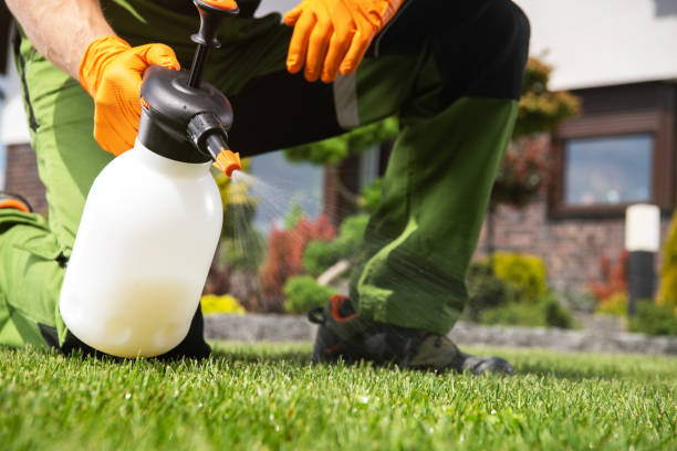 Best Affordable Pest Control Services  in Fletcher, OK