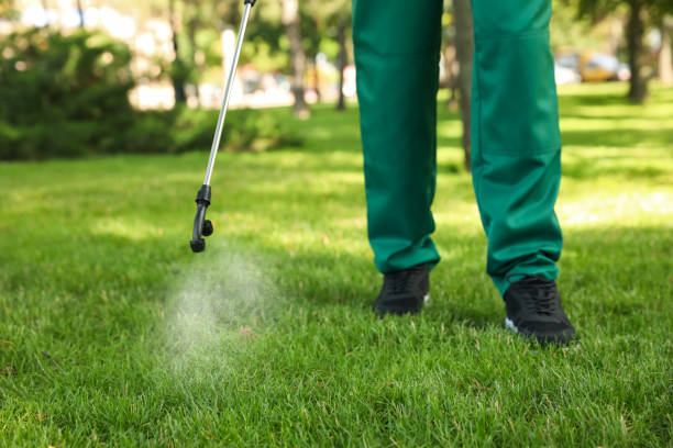 Best Residential Pest Control  in Fletcher, OK