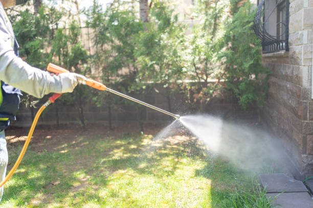 Best Termite Control Services  in Fletcher, OK