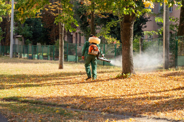 Best Residential Pest Control  in Fletcher, OK