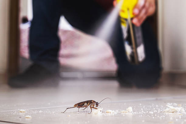 Best Pest Removal Services  in Fletcher, OK