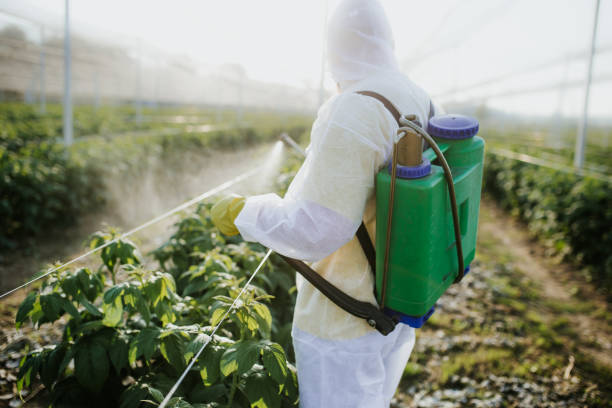 Wildlife Control Services in Fletcher, OK